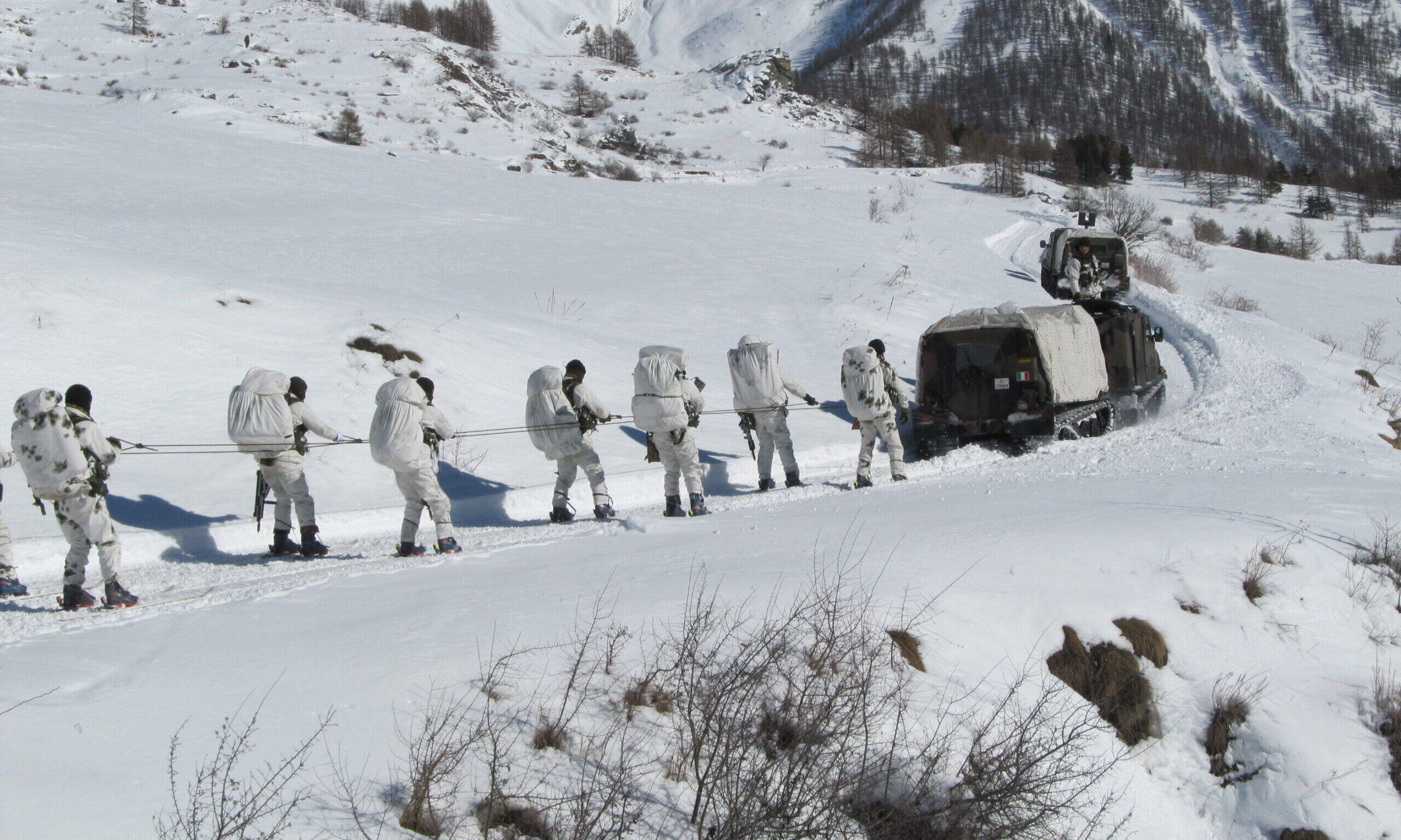 Alpini in montagna