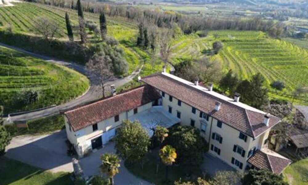 Azienda vitivinicola " Ronc di Bianca" - FAI