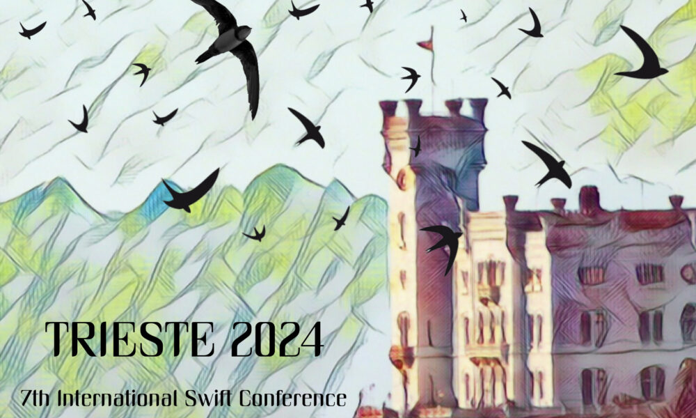 7th International Swift Conference - Rondoni