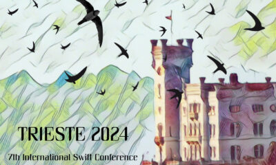 7th International Swift Conference - Rondoni