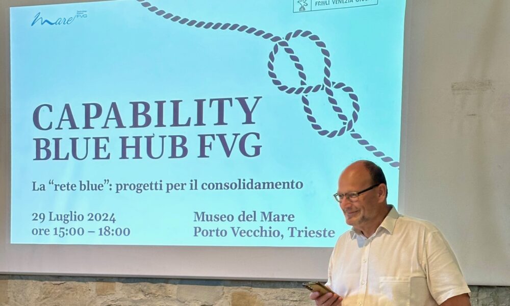 Capability Blue Hub Fvg - mareFVG