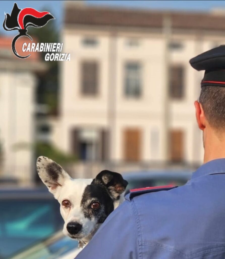 Carabinieri di Gorizia che tiene in braccio il cane