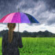 Pioggia e ombrello - Weekend di instabilità in FVG, le previsioni meteo per sabato e domenica