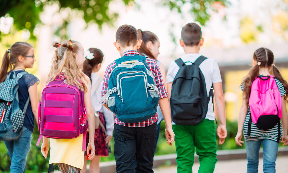 Gruppo di ragazzi a scuola - Scuola San Giorgio di Nogaro, al via i lavori per la sicurezza degli studenti