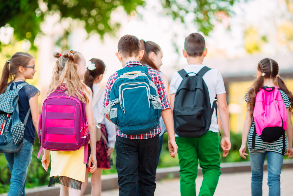 Gruppo di ragazzi a scuola - Scuola San Giorgio di Nogaro, al via i lavori per la sicurezza degli studenti