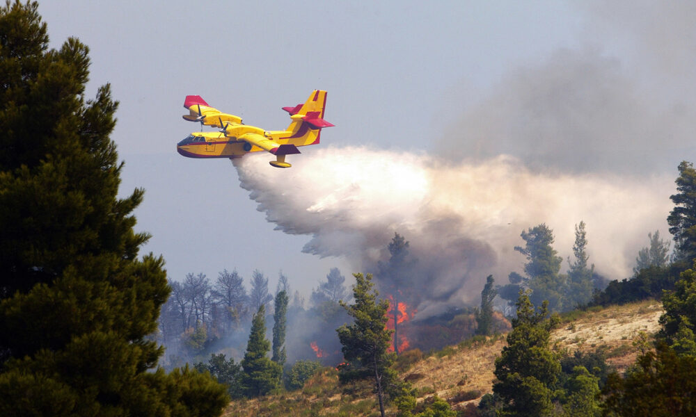 Canadair in azione - Incendio Monte Cimadors: evacuazioni in corso, ma nessun pericolo per i residenti