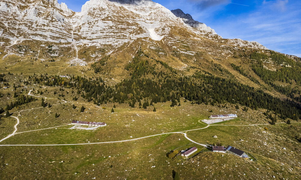 Malga sul Montasio