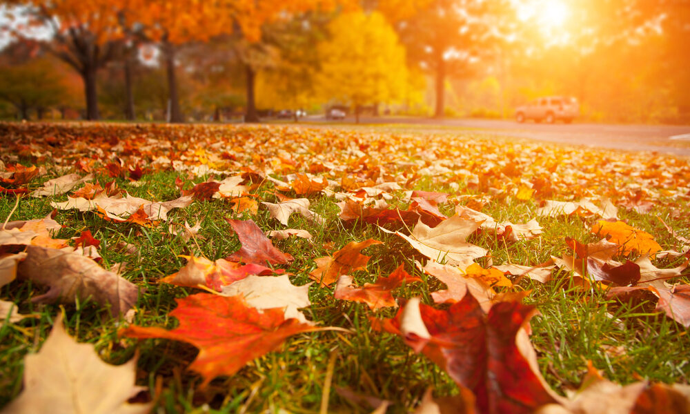 Bella giornata autunnale