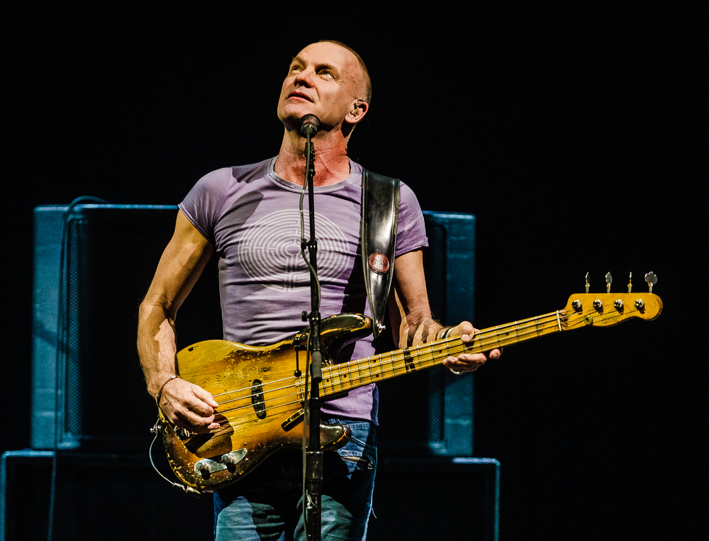 Sting ( © Depositphotos)