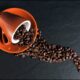 Caffè - Triestespresso torna al Porto Vecchio, la fiera mondiale del caffè in arrivo