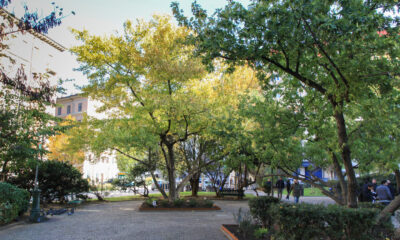 Piazza dei Volontari Giuliani