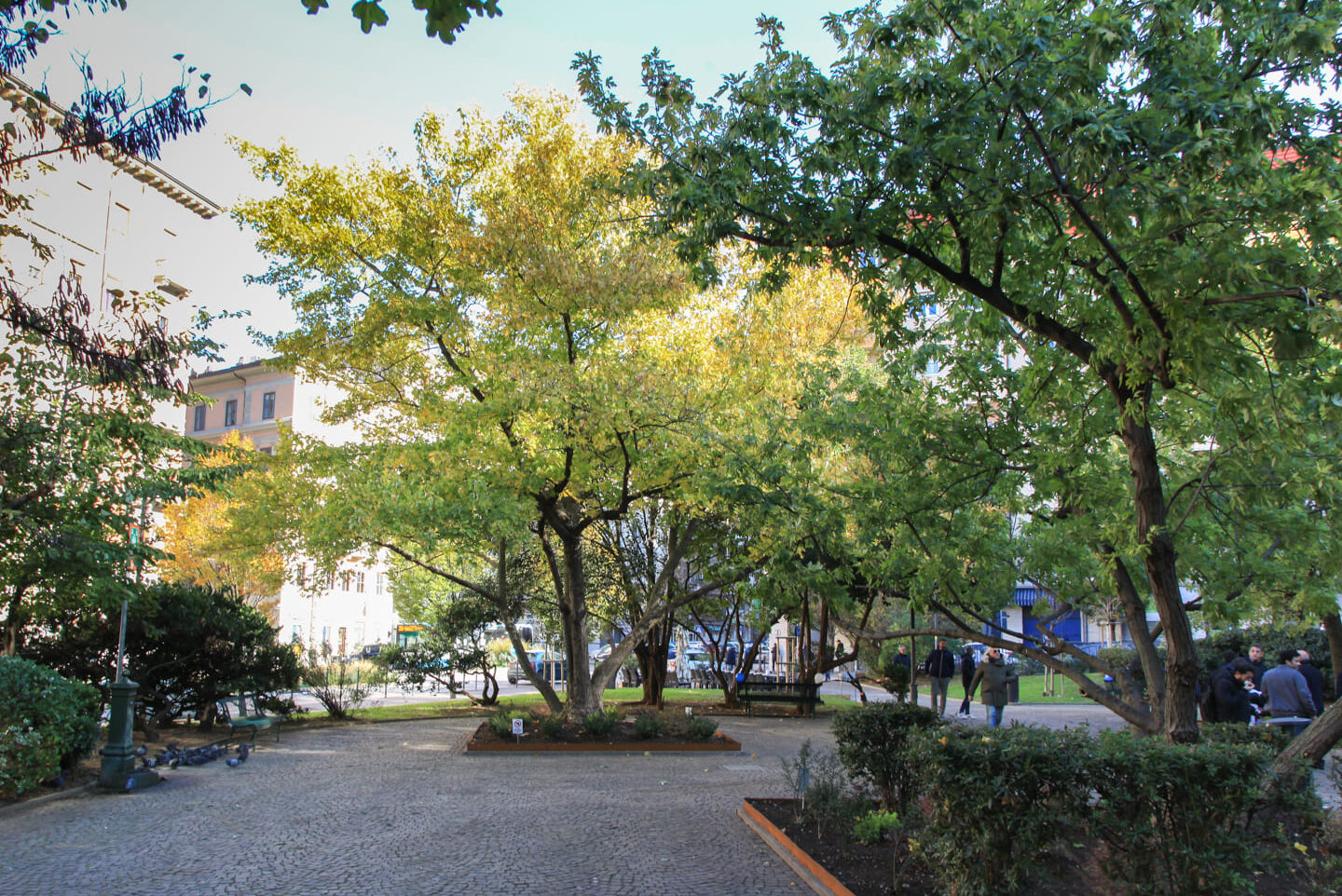 Piazza dei Volontari Giuliani