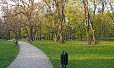 Area verde - piantumazioni a Udine