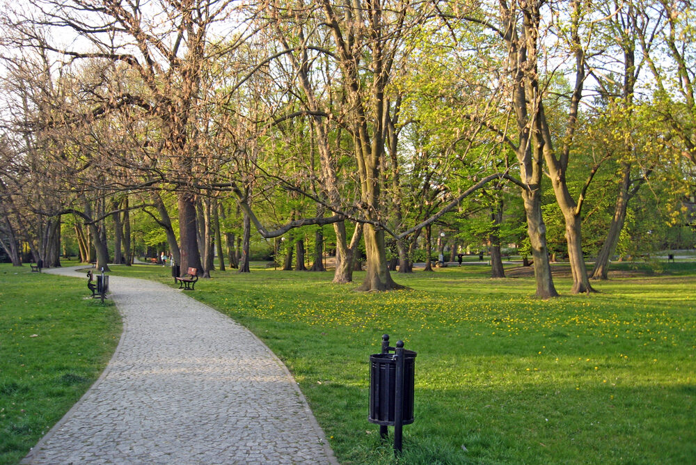 Area verde - piantumazioni a Udine