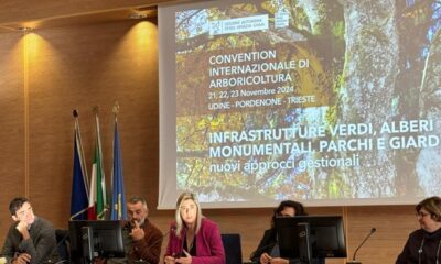 L'intervento dell'assessore regionale a Infrastrutture e Territorio, Cristina Amirante - Alberi monumentali fvg