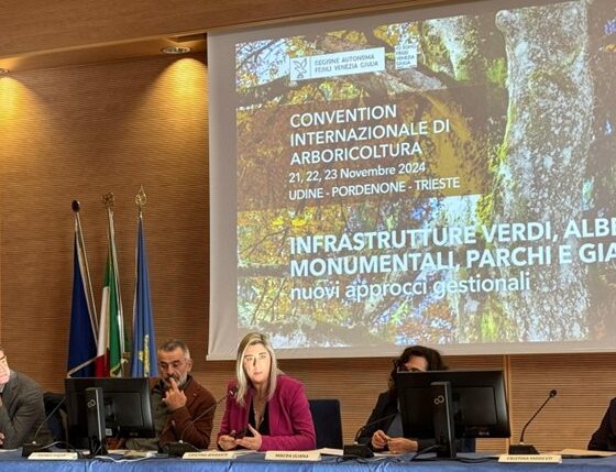 L'intervento dell'assessore regionale a Infrastrutture e Territorio, Cristina Amirante - Alberi monumentali fvg