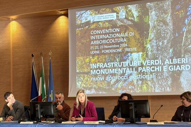 L'intervento dell'assessore regionale a Infrastrutture e Territorio, Cristina Amirante - Alberi monumentali fvg