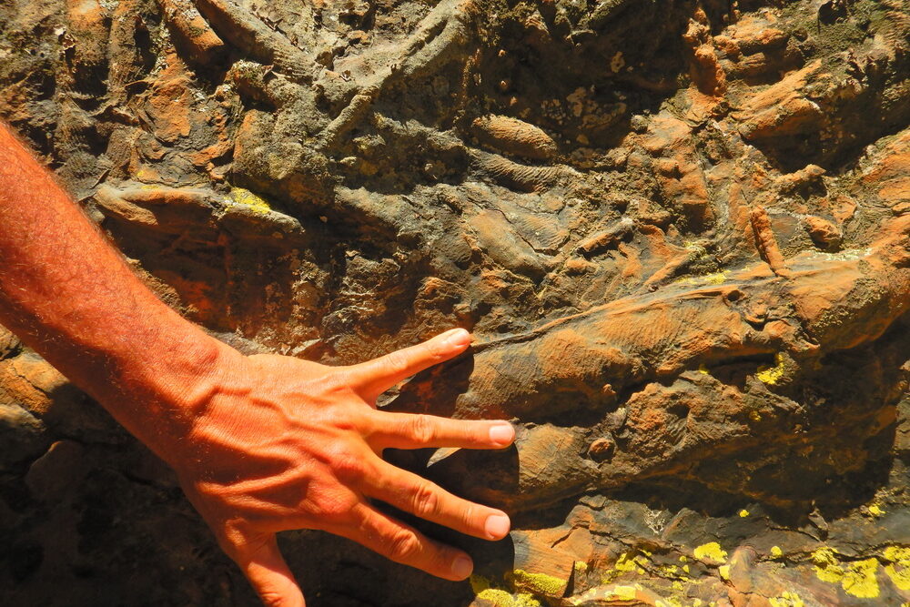 Andrea Baucon con un icnofossile a Penha Garcia (Naturtejo UNESCO Global Geopark)