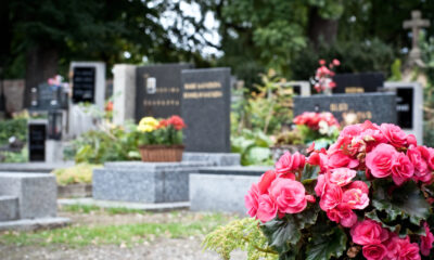 Cimitero - cimitero di San Vito di Udine