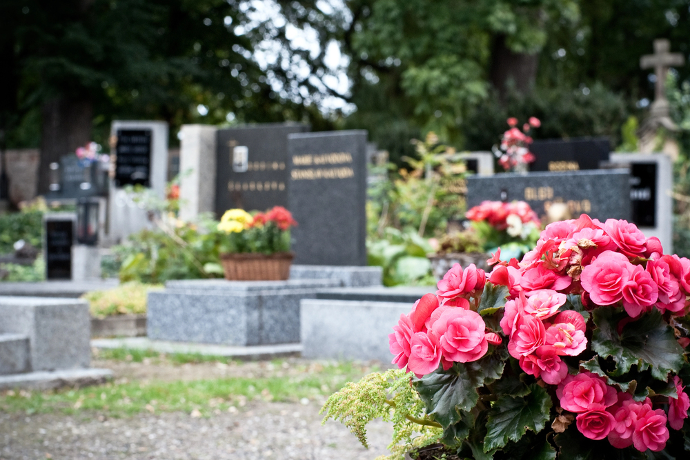 Cimitero - cimitero di San Vito di Udine