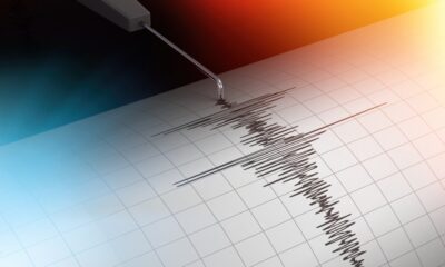 Sismografo terremoto - Terremoto Ampezzo