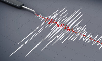 Sismografo terremoto - Terremoto fvg