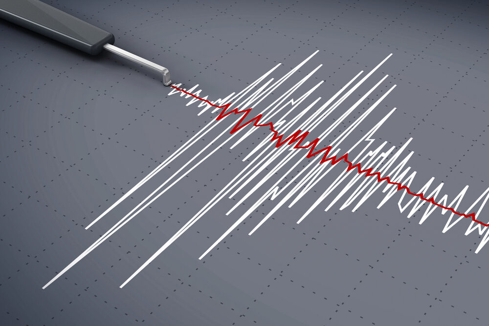 Sismografo terremoto - Terremoto fvg