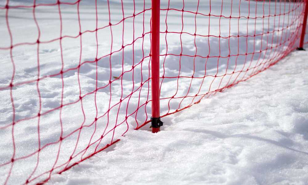 Campo Innevato - Snow Rugby Tarvisio