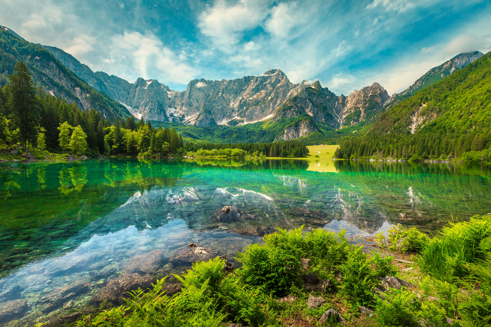 Foresta di Fusine